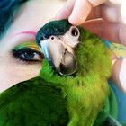 mortimersparrow