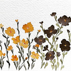 MWatercolours