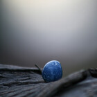 DragonEgg
