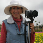 jwphotos