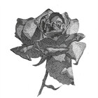 ZjDesign