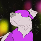 Sicin-Stars