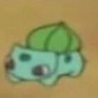 saltymarshmallo