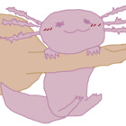 ScootsnBoots