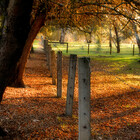 seasonalscapes