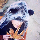 KovoWolf