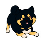 KeivaAegis