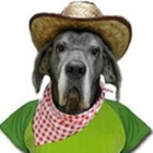 Doggenhaus