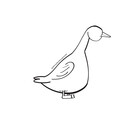 goosegabrielle