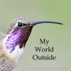 MyWorldOutside