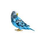 Vectoraw