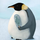 rejectpenguin