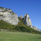 Rangorn