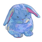 ShyBunny