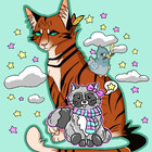 RacconCloud