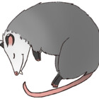 hildaofficial