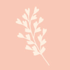 PeachyLitchi