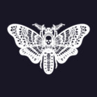 ButterflyX