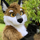 DarwinTheFox