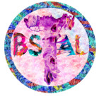 BSALcompany
