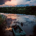 CarpPhoto