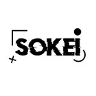 T-Shirt-Sokei