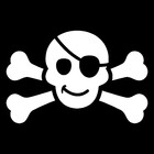 Redbubble profile picture for @Piracy