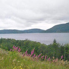HighlandPrints