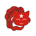 StarCatPrints