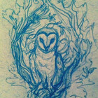 CyanOwl