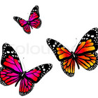 3butterfliesart
