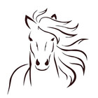 BeautifulHorse