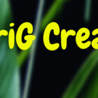 DMariG