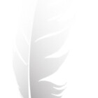 White-Feather