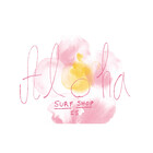 AlohaSurfShop25