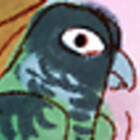 owlcoholik