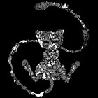 Gallifreya