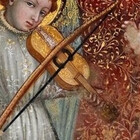 MedievalRose