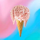 Mind-Melt-Co