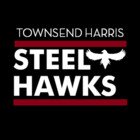 SteelHawks