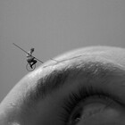 ThinkSee