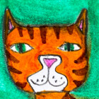 FriendlyCheetah