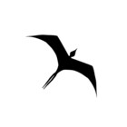 iwalani001