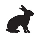 RoamingRabbit