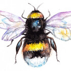 bebesart