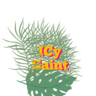 icysaint