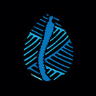 Cowrie