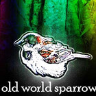oldworldsparrow