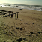 martarodrigues