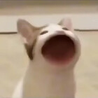 niesia